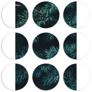 Магнитные фотопазлы круги d55 набор 9 штук 