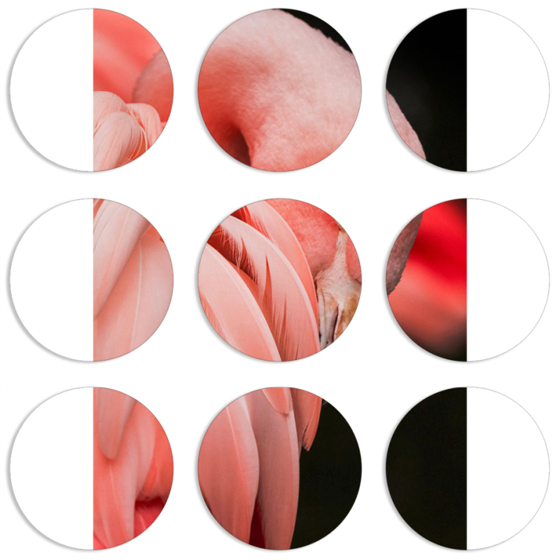 Магнитные фотопазлы круги d55 набор 9 штук 