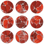 Магнитные фотопазлы круги d55 набор 9 штук Heart Strings