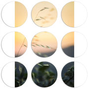 Магнитные фотопазлы круги d55 набор 9 штук 