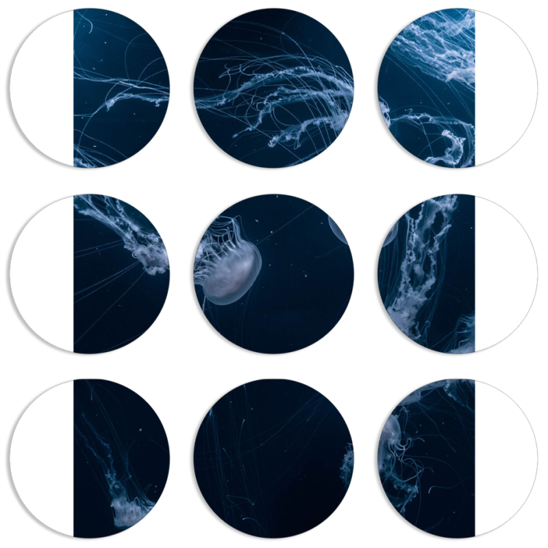 Магнитные фотопазлы круги d55 набор 9 штук 