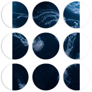 Магнитные фотопазлы круги d55 набор 9 штук 