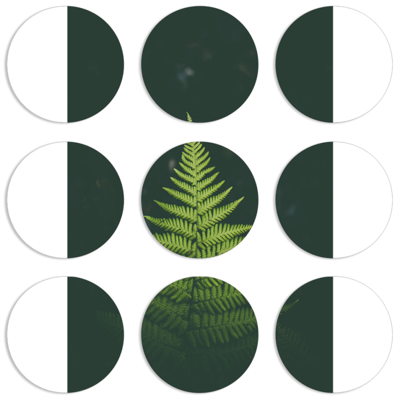 Магнитные фотопазлы круги d55 набор 9 штук 