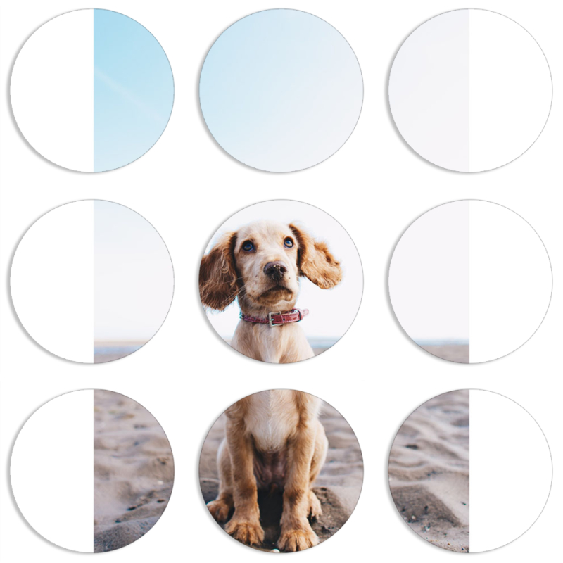 Магнитные фотопазлы круги d55 набор 9 штук 