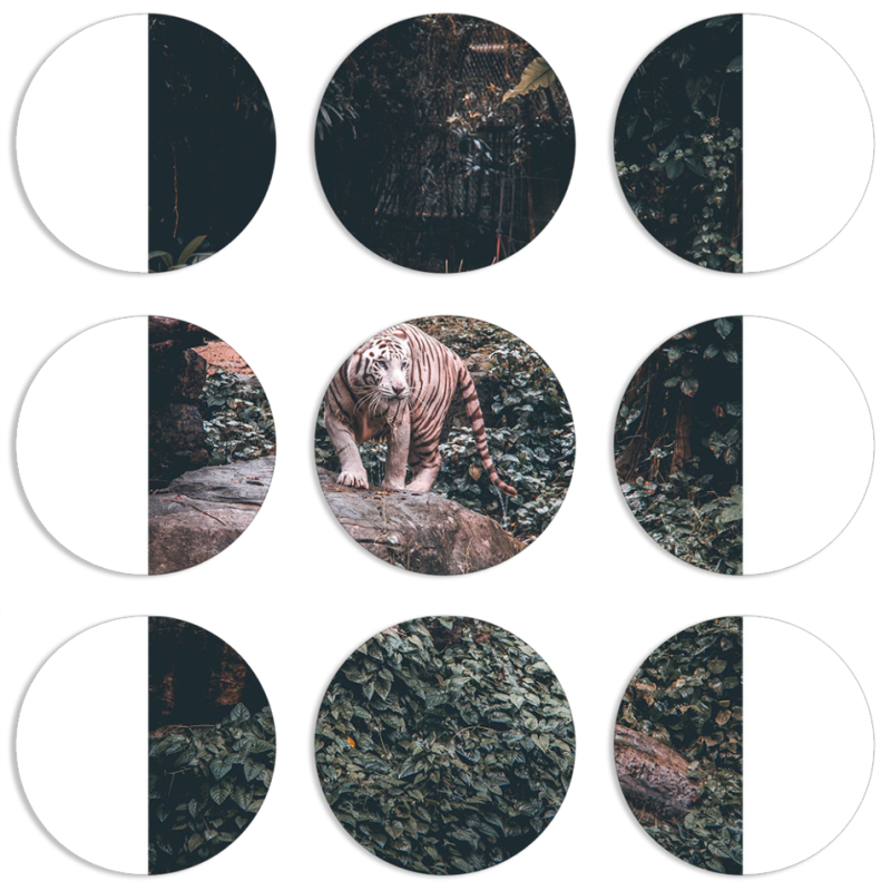 Магнитные фотопазлы круги d55 набор 9 штук 