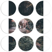 Магнитные фотопазлы круги d55 набор 9 штук 