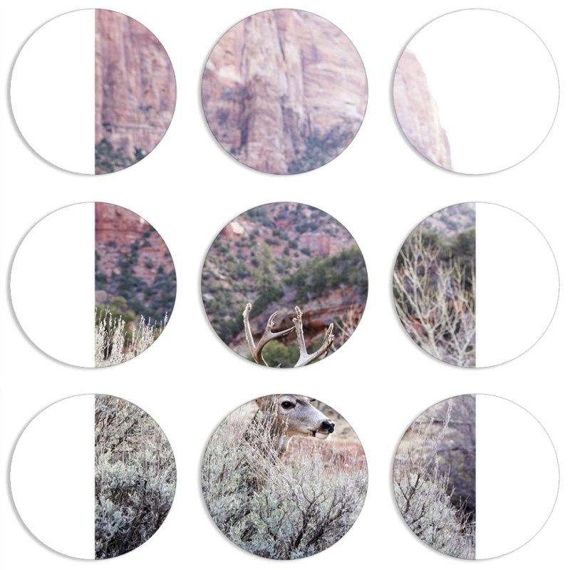 Магнитные фотопазлы круги d55 набор 9 штук 