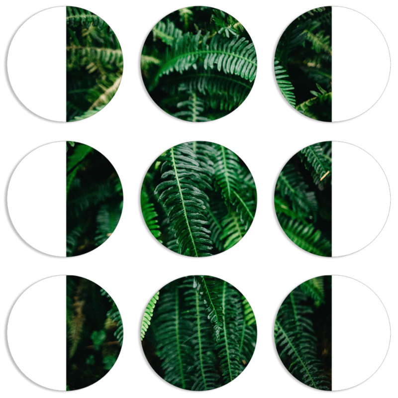 Магнитные фотопазлы круги d55 набор 9 штук 