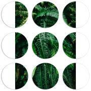 Магнитные фотопазлы круги d55 набор 9 штук 