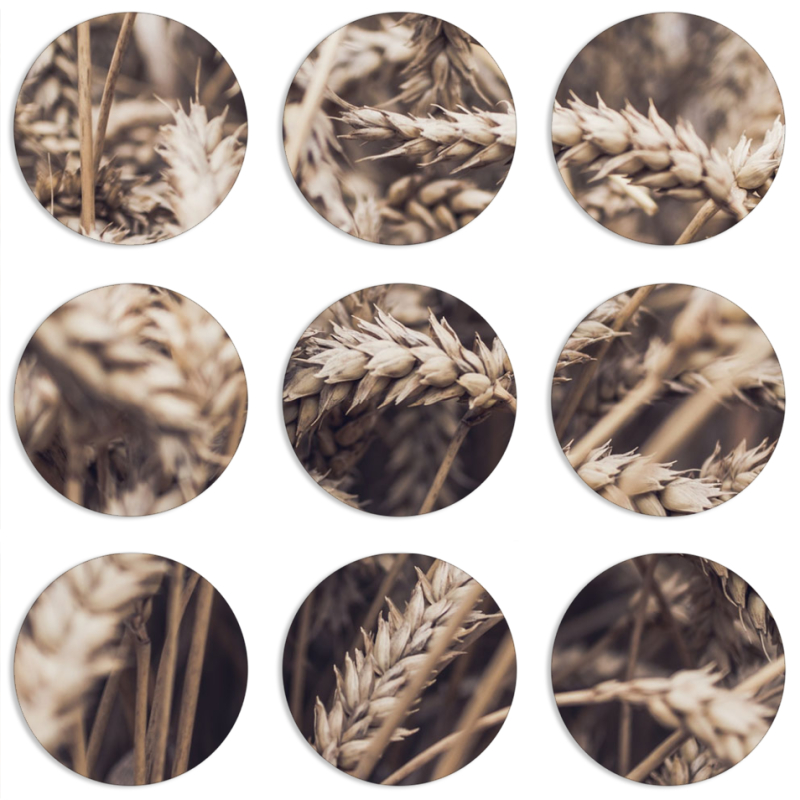 Магнитные фотопазлы круги d55 набор 9 штук 