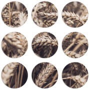 Магнитные фотопазлы круги d55 набор 9 штук 