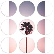 Магнитные фотопазлы круги d55 набор 9 штук 