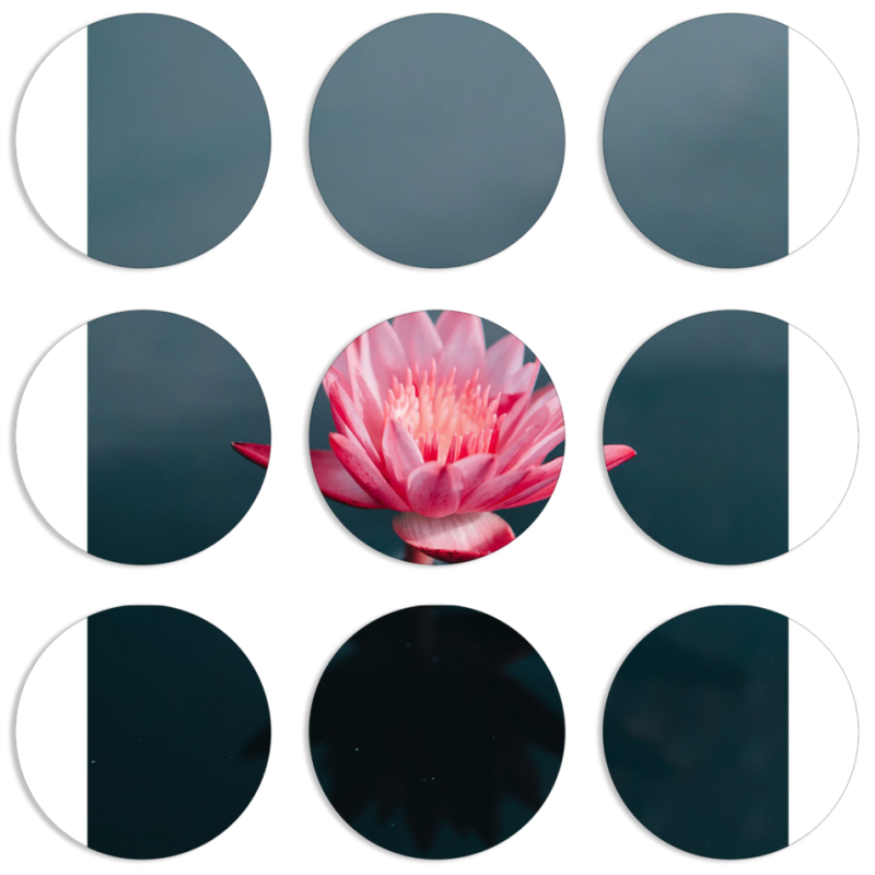 Магнитные фотопазлы круги d55 набор 9 штук 