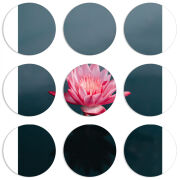 Магнитные фотопазлы круги d55 набор 9 штук 