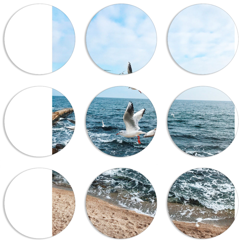 Магнитные фотопазлы круги d55 набор 9 штук 