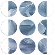 Магнитные фотопазлы круги d55 набор 9 штук 