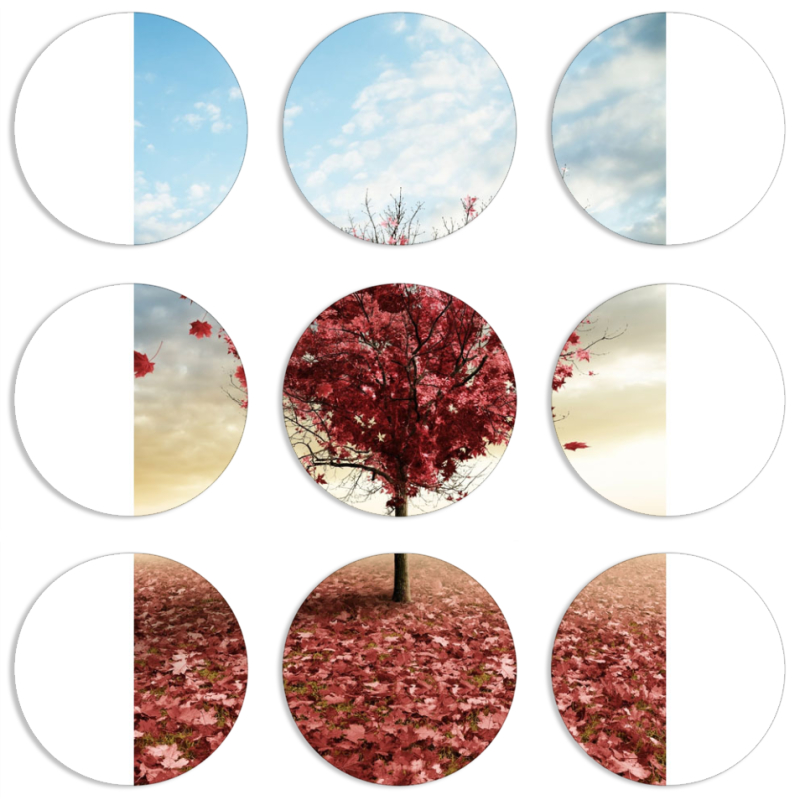 Магнитные фотопазлы круги d55 набор 9 штук Tree of Love