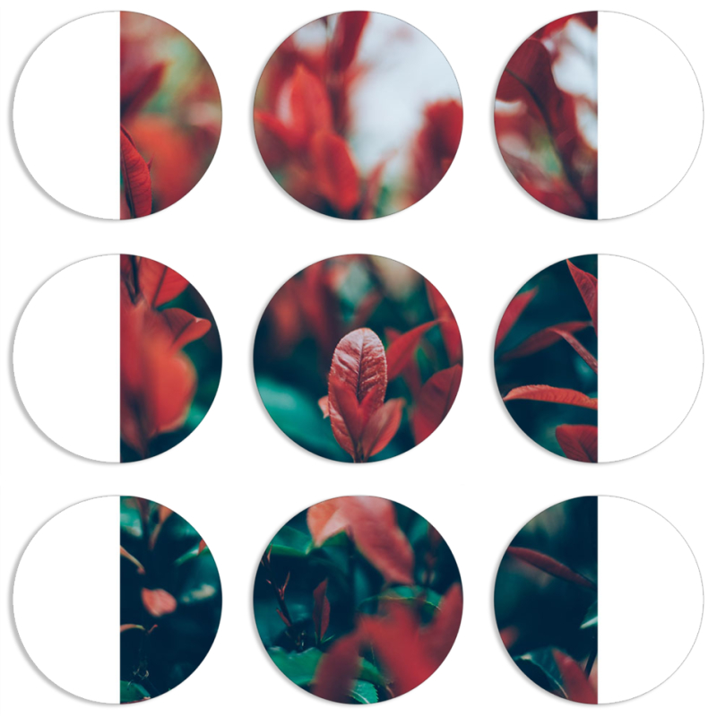 Магнитные фотопазлы круги d55 набор 9 штук 