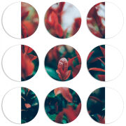 Магнитные фотопазлы круги d55 набор 9 штук 