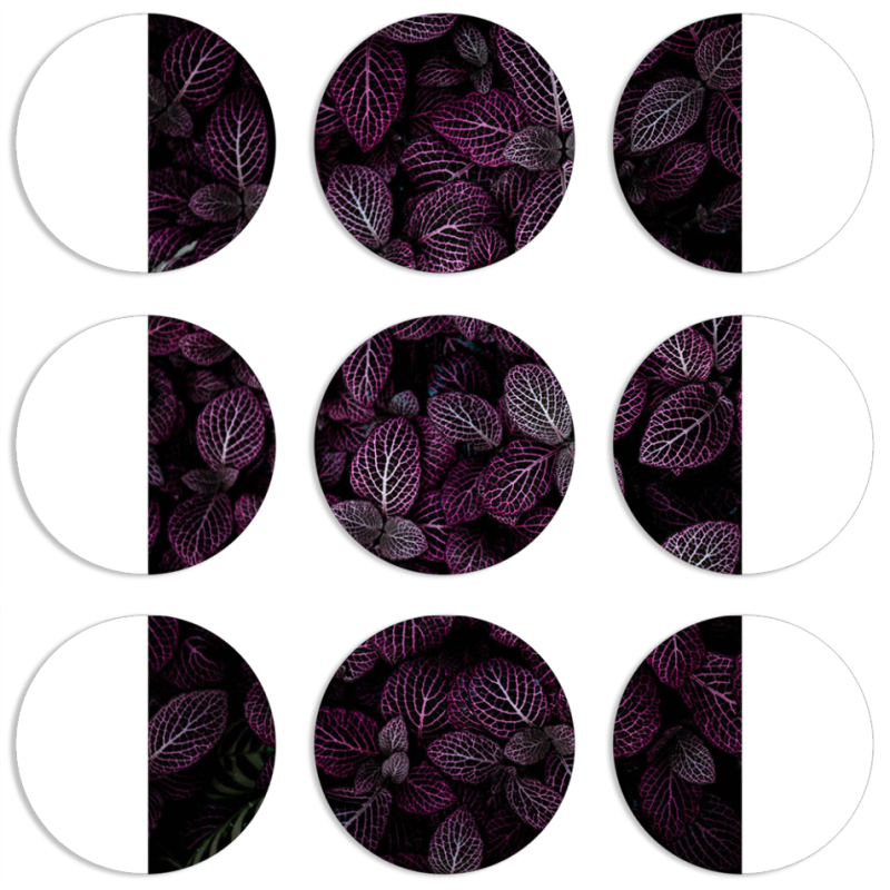 Магнитные фотопазлы круги d55 набор 9 штук 