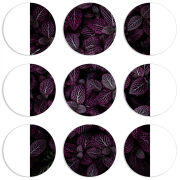 Магнитные фотопазлы круги d55 набор 9 штук 