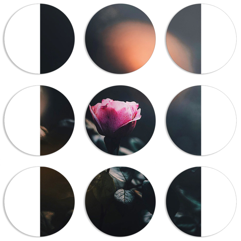 Магнитные фотопазлы круги d55 набор 9 штук 