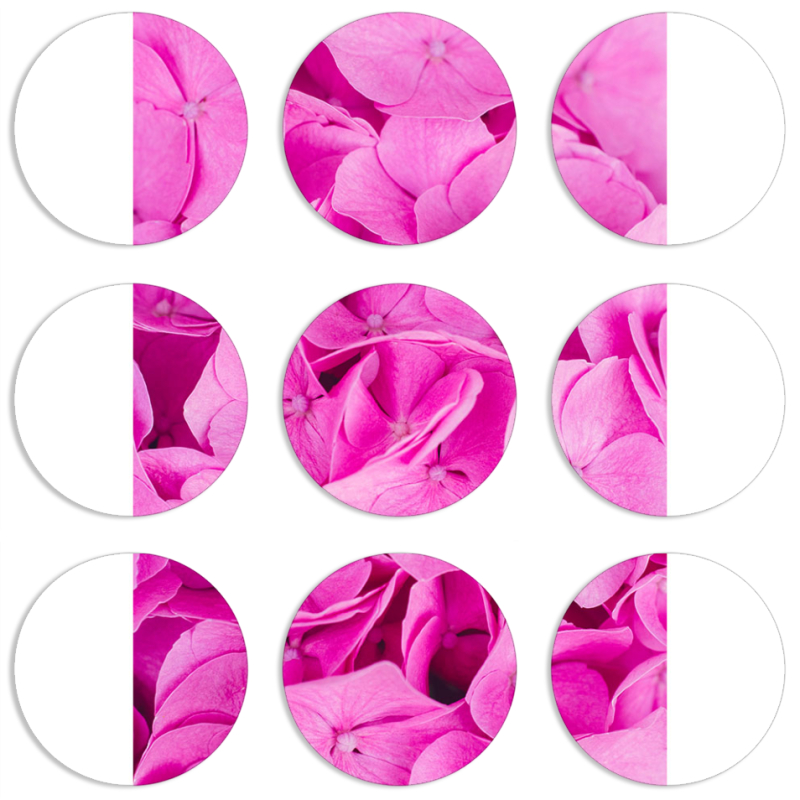 Магнитные фотопазлы круги d55 набор 9 штук Pink Flowers