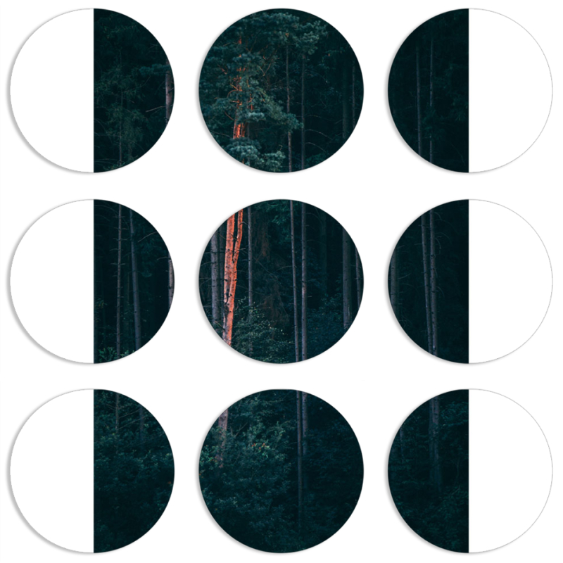 Магнитные фотопазлы круги d55 набор 9 штук 