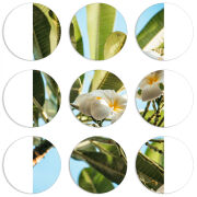 Магнитные фотопазлы круги d55 набор 9 штук 