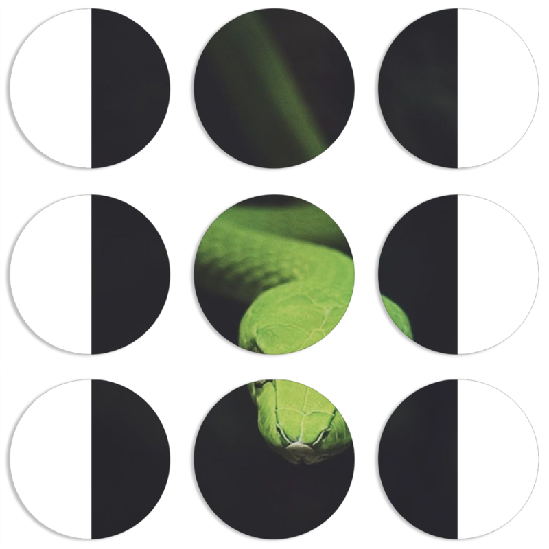 Магнитные фотопазлы круги d55 набор 9 штук 