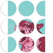 Магнитные фотопазлы круги d55 набор 9 штук 