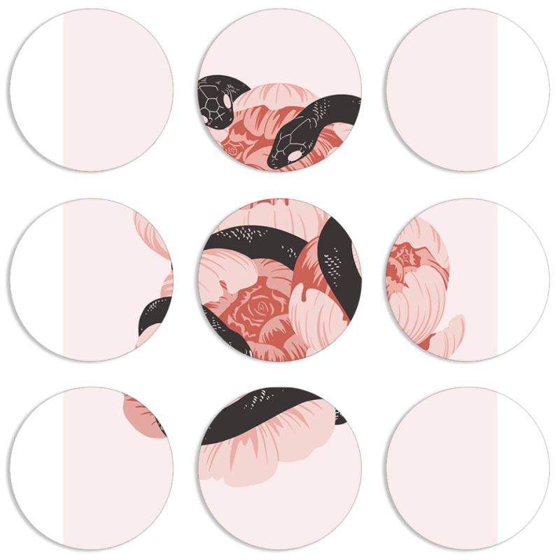 Магнитные фотопазлы круги d55 набор 9 штук 