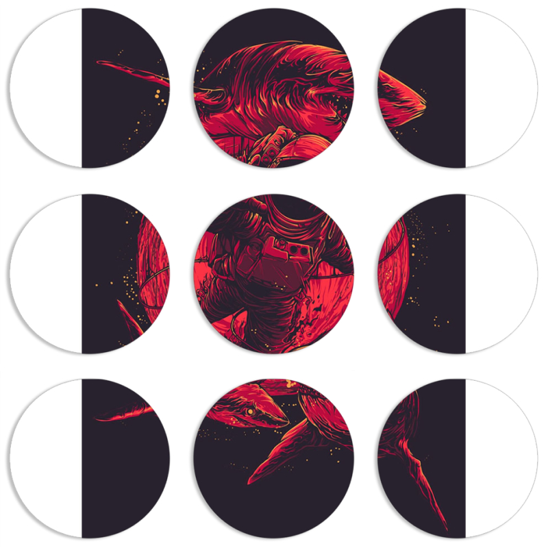 Магнитные фотопазлы круги d55 набор 9 штук 