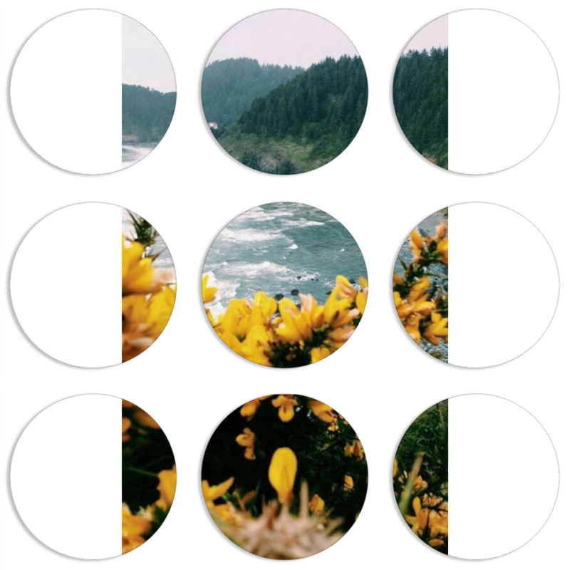 Магнитные фотопазлы круги d55 набор 9 штук 