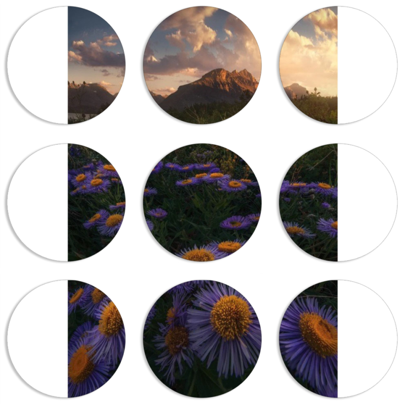 Магнитные фотопазлы круги d55 набор 9 штук 