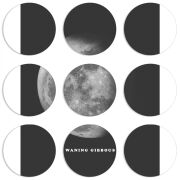 Магнитные фотопазлы круги d55 набор 9 штук 