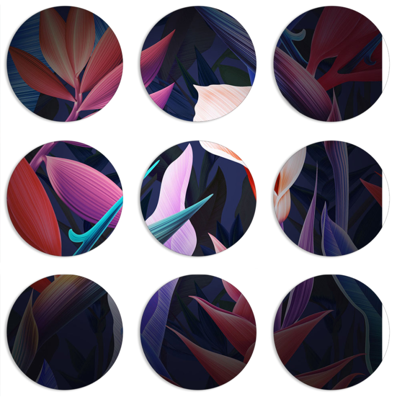 Магнитные фотопазлы круги d55 набор 9 штук 