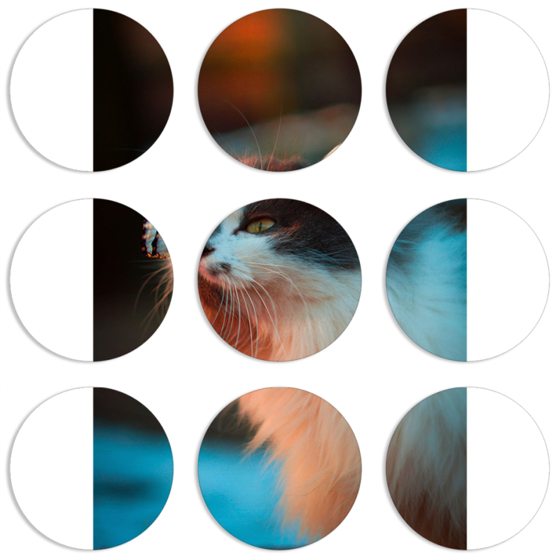 Магнитные фотопазлы круги d55 набор 9 штук 