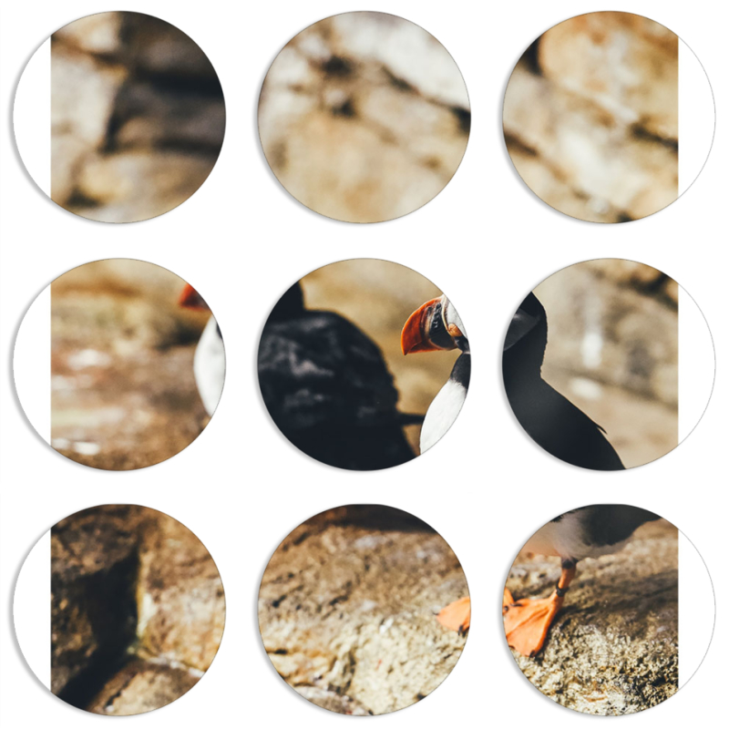 Магнитные фотопазлы круги d55 набор 9 штук 