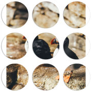 Магнитные фотопазлы круги d55 набор 9 штук 