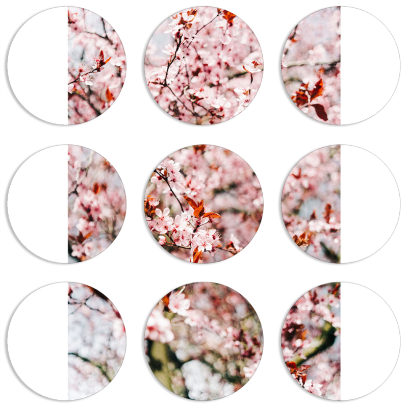 Магнитные фотопазлы круги d55 набор 9 штук 