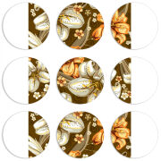 Магнитные фотопазлы круги d55 набор 9 штук Lilly