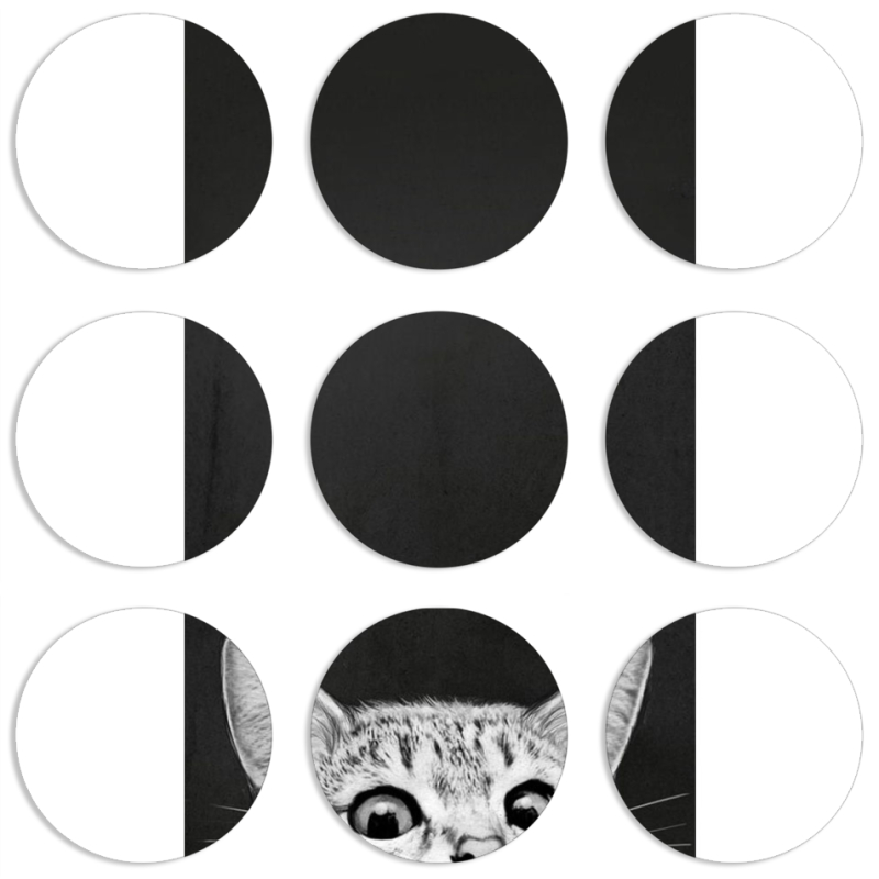 Магнитные фотопазлы круги d55 набор 9 штук 