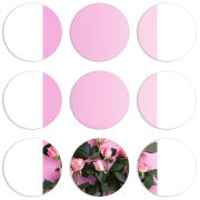 Магнитные фотопазлы круги d55 набор 9 штук 