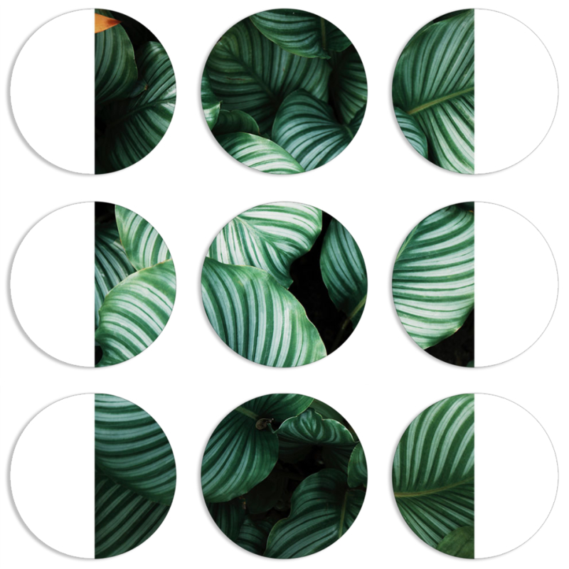 Магнитные фотопазлы круги d55 набор 9 штук 