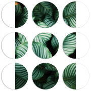 Магнитные фотопазлы круги d55 набор 9 штук 