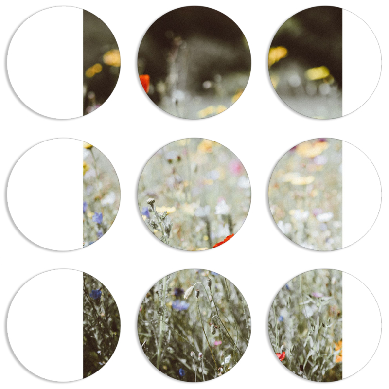 Магнитные фотопазлы круги d55 набор 9 штук 