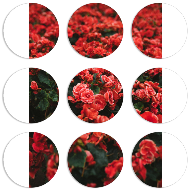 Магнитные фотопазлы круги d55 набор 9 штук 