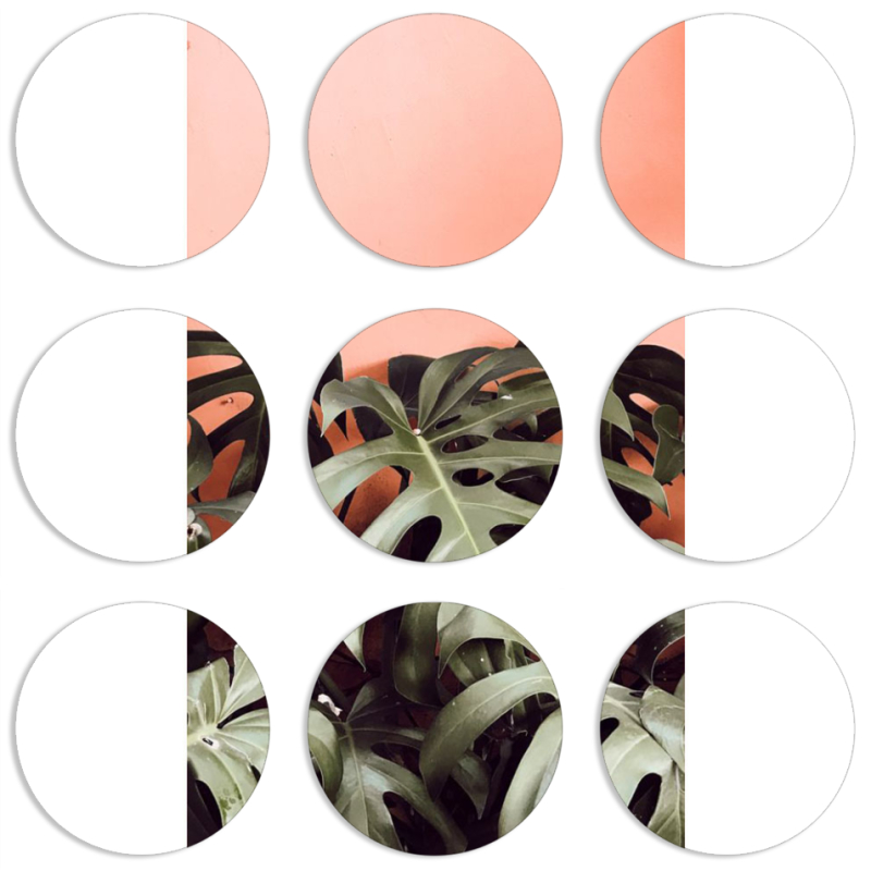 Магнитные фотопазлы круги d55 набор 9 штук 