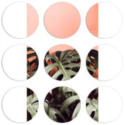 Магнитные фотопазлы круги d55 набор 9 штук 